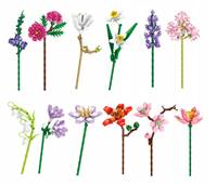 Kniha Stavebnica Dekoratívne kvety 12druhov