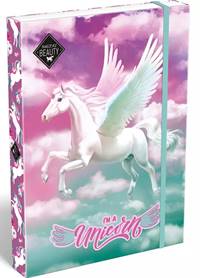 Box na zošity A4 Unicorn