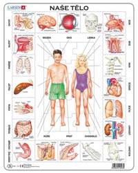 Kniha Puzzle 35 Naše tělo deskové