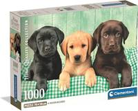 Kniha Clementoni Puzzle Traja labradory 1000ks