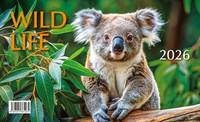 Kniha Mláďata Wild life 2026 - stolní kalendář