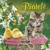Kniha Přátelé 2026 - nástěnný kalendář