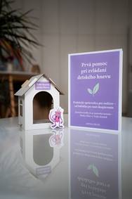 Pánko Hnev a Tichý domček