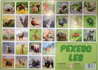 Kniha Pexeso Les fotografie