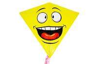 Kniha Šarkan Smajlík 68x73cm