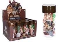 Kniha Zvieratká safari sada