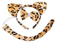 Kniha Karnevalový set Tiger