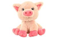 Kniha Prasiatko plyšové 26cm