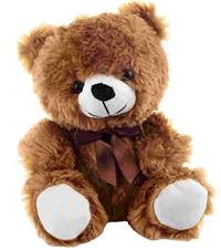 Kniha Medveď hnedý plyšový 25cm