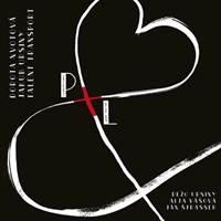 Kniha Dorota Nvotová / Jakub Ursiny / Talent Transport: P+ L