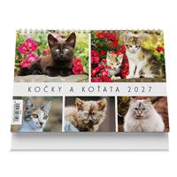 Kniha Kočky a koťata 2027 - Stolní kalendář
