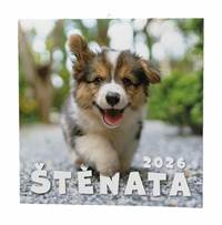 Kniha Štěňata 2026 - nástěnný kalendář