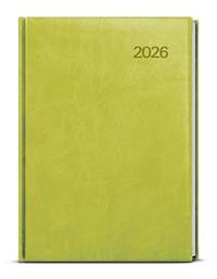 Kniha Denní diář 2026 Adam Vivella B6 zelená