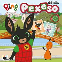 Kniha Pexeso v zošite Bing