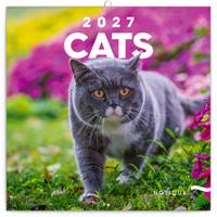 Poznámkový kalendář Kočky 2027 - nástěnný kalendář