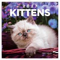 Poznámkový kalendář Koťata 2027 - nástěnný kalendář