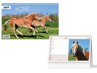 Kniha Koně kalendář 2026 - stolní kalendář