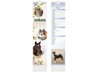 Kniha Zvířata 2026 - nástěnný kalendář
