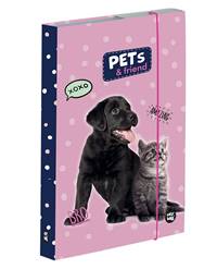 Box na zošity A4 Psík a mačka