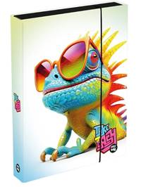 Box na zošity A4 Chameleon