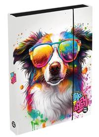 Box na zošity A4 Pes