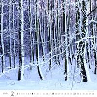 Les 2026 - nástěnný kalendář