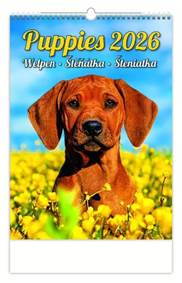 Kniha Štěňátka 2026 - nástěnný kalendář