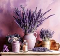 Kniha Provence vázanka 2026 - nástěnný kalendář