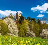 Putování po Česku vázanka 2026 - nástěnný kalendář