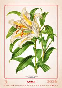 Herbarium 2026 - nástěnný kalendář