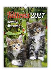 Kniha Koťátka 2027 - nástěnný kalendář