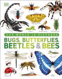 Kniha Our World in Pictures Bugs, Butterflies, Beetles and Bees