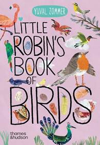 Kniha Little Robins Book of Birds