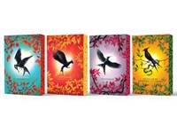 Kniha Deluxe Hunger Games Collection (4 book set)