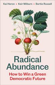 Kniha Radical Abundance