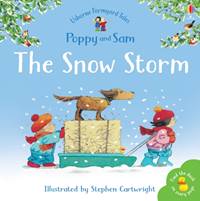 Kniha The Snow Storm