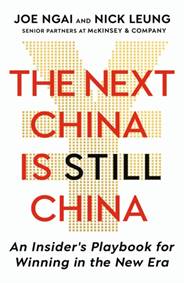 Kniha The Next China is Still China
