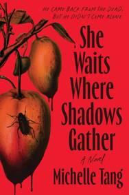 Kniha She Waits Where Shadows Gather