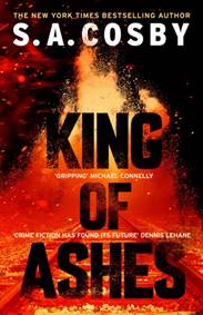 Kniha King of Ashes