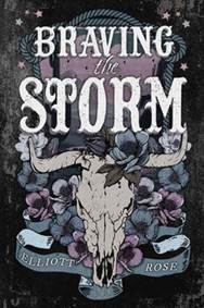 Kniha Braving the Storm