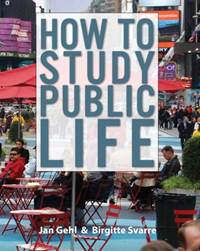 Kniha How to Study Public Life