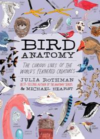 Kniha Bird Anatomy