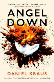 Kniha Angel Down