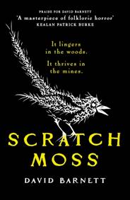 Kniha Scratch Moss