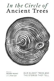 In The Circle of Ancient Trees