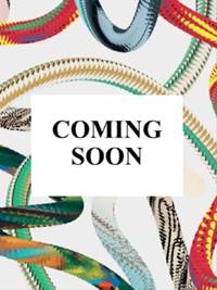 Kniha Japan 1900. A Portrait in Color