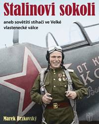 Kniha Stalinovi sokoli aneb sovětští stíhači ve Velké vlastenecké válce