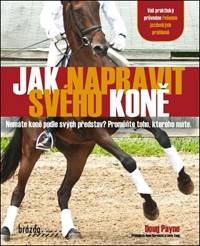 Jak napravit svého koně