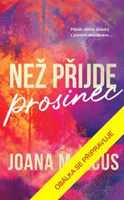 Kniha Než přijde prosinec