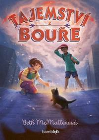 Tajemství z bouře kúpite na Knihyprekazdeho.sk